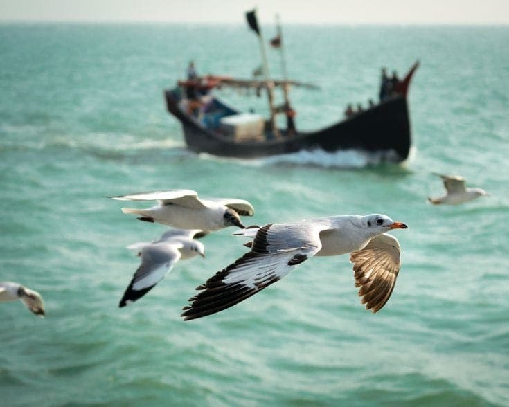 Saint Martin Island, Bangladesh