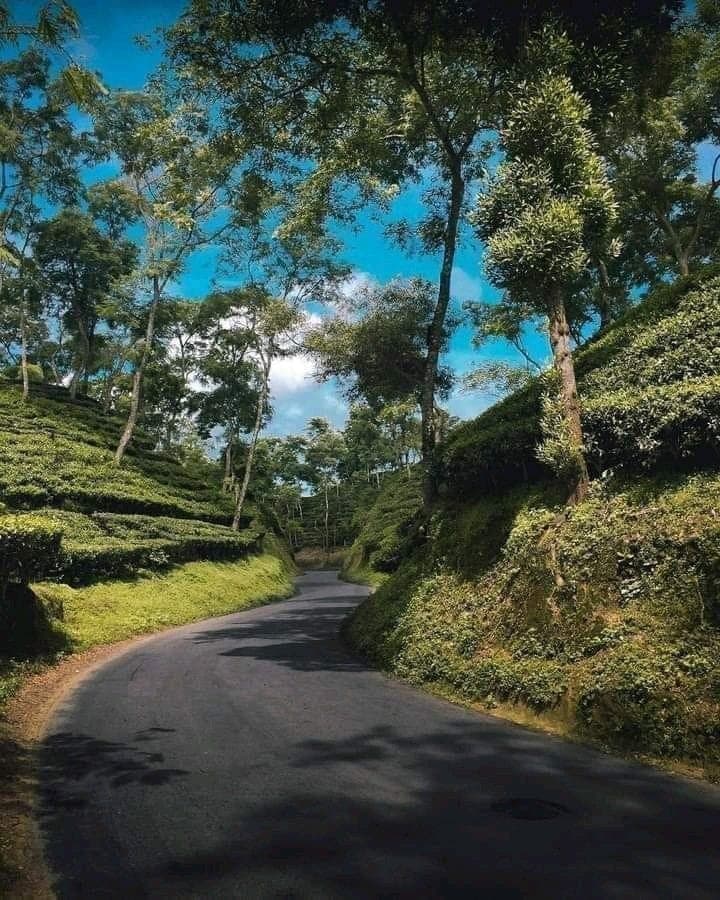 Srimangal, Bangladesh