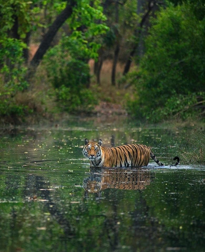 Sundarbans, Bangladesh