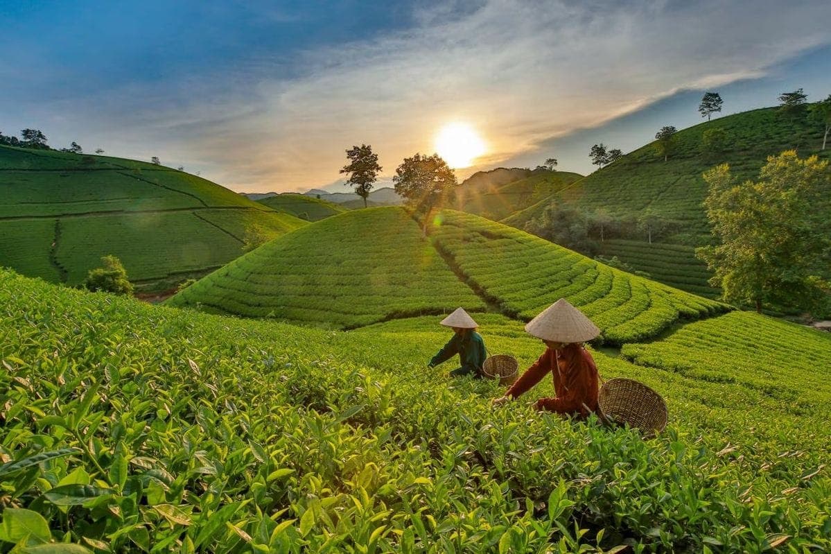 Sylhet, Bangladesh