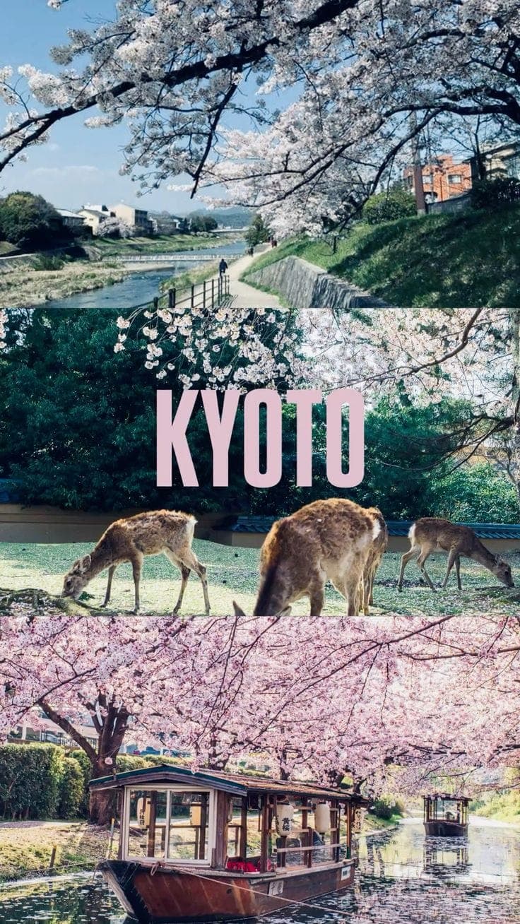 Kyoto, Japan