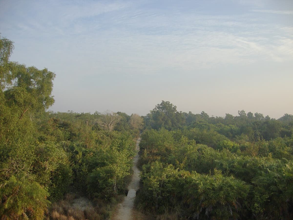 Kotka Wildlife Sanctuary, Bagerhat