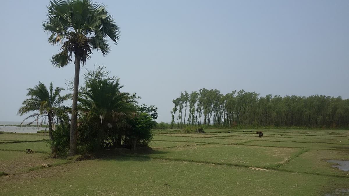 Tengragiri Wildlife Sanctuary, Barguna