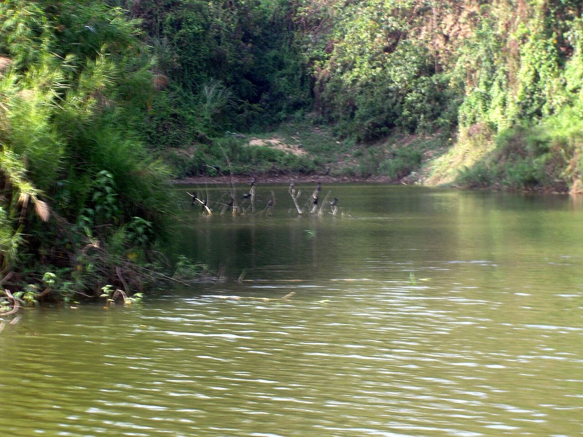 Foy's Lake, Chattogram