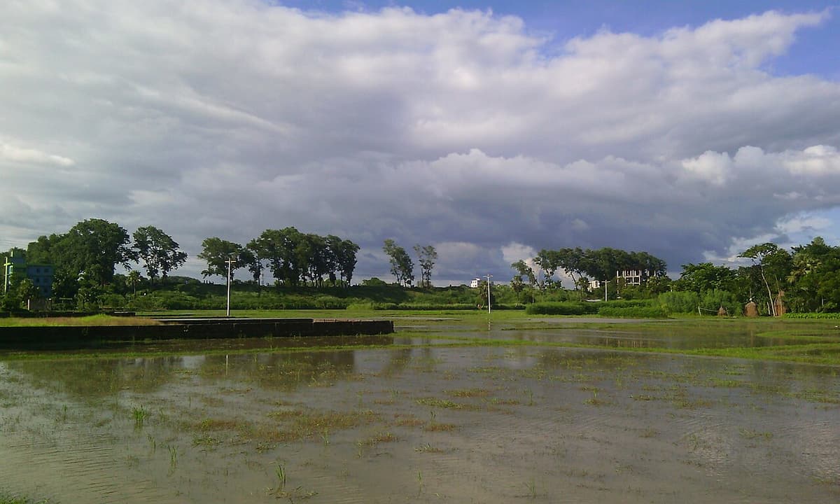 Bijoy Singha Dighi, Feni
