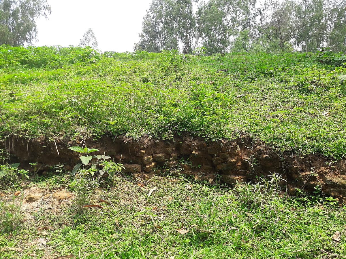 Birat Rajar Dhibi, Gaibandha