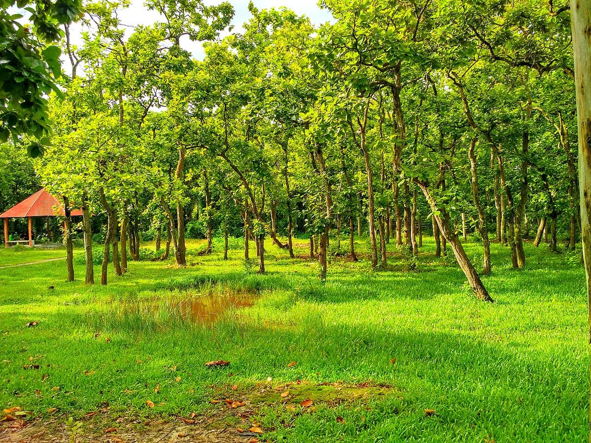 Bhawal National Park, Gazipur