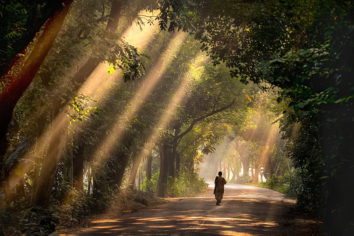 Satchari National Park, Habiganj