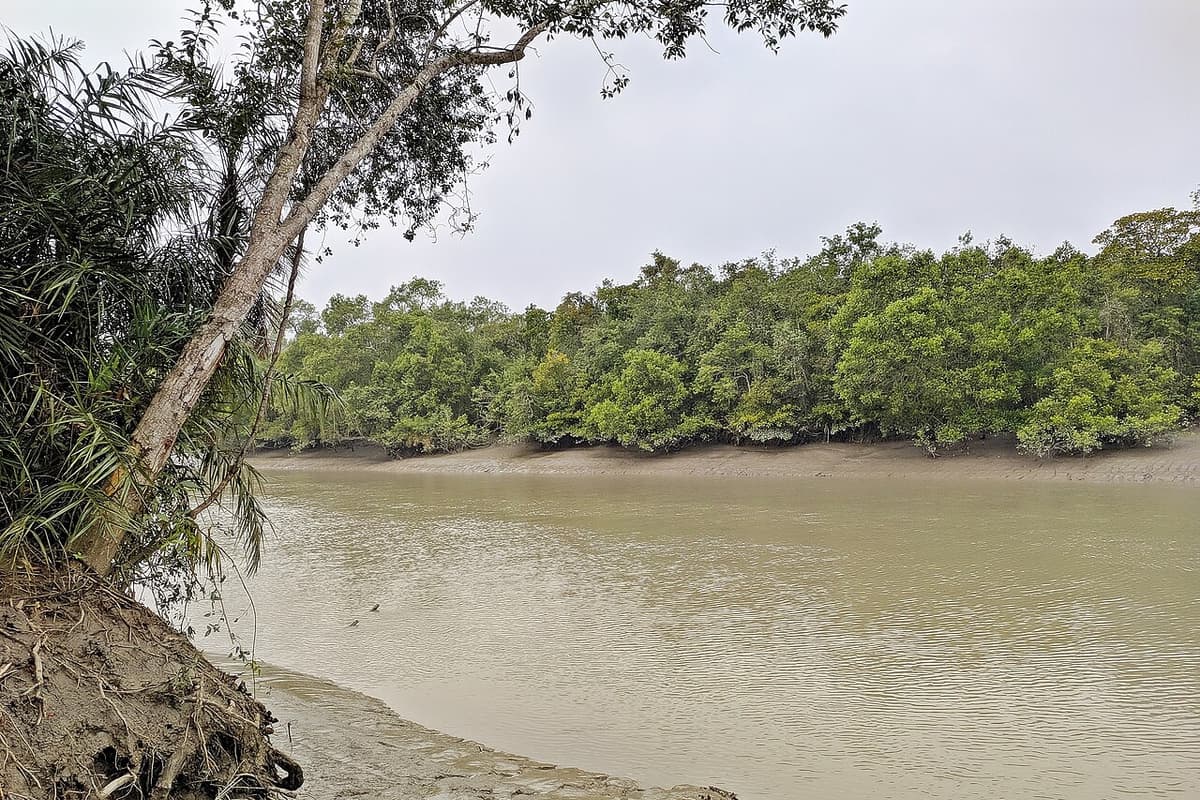 Karamjal Ecotourism Centre, Khulna