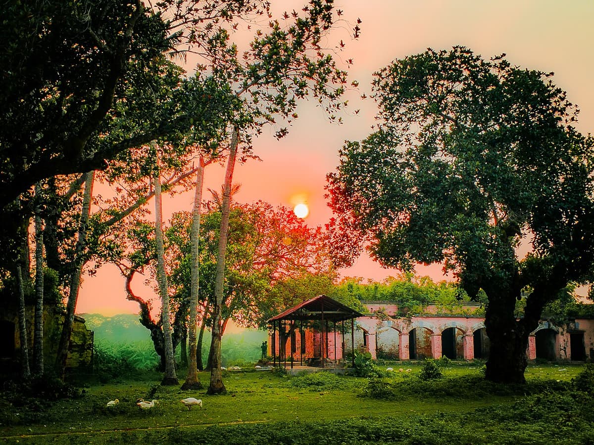 Amjhupi Neelkuthi, Meherpur