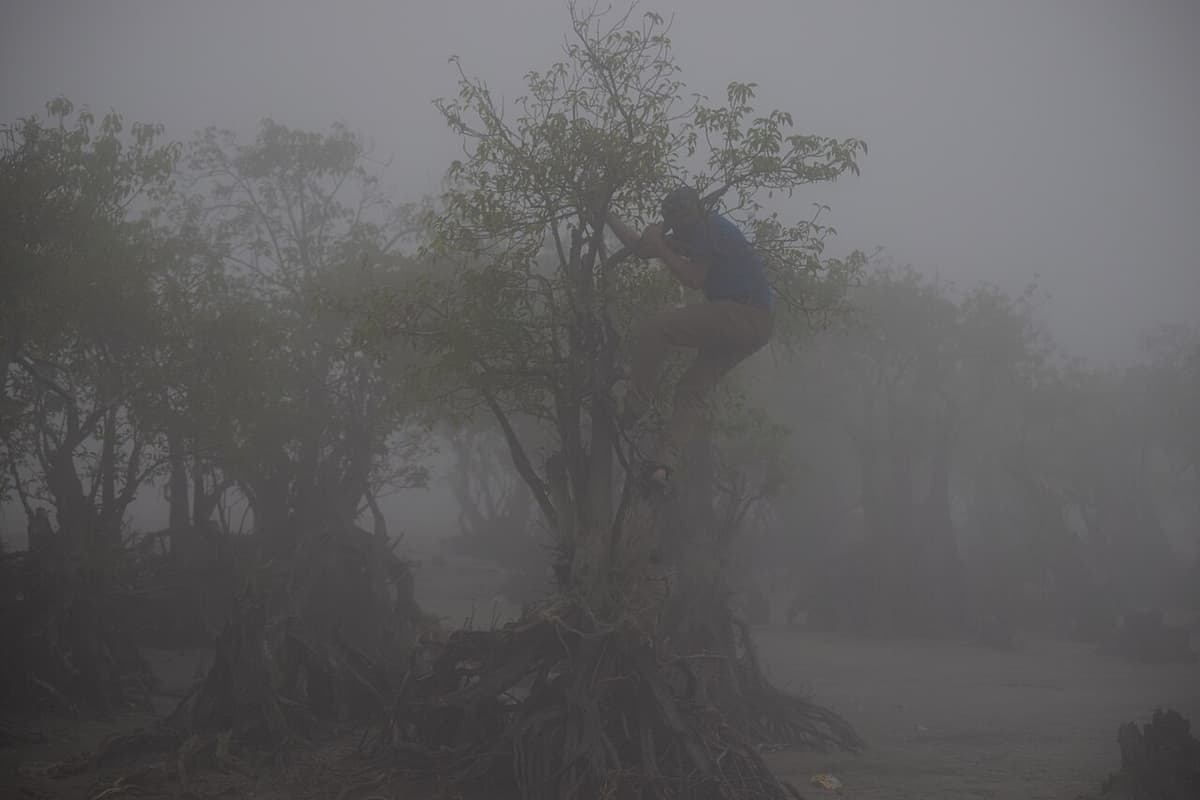 Kuakata National Park, Patuakhali