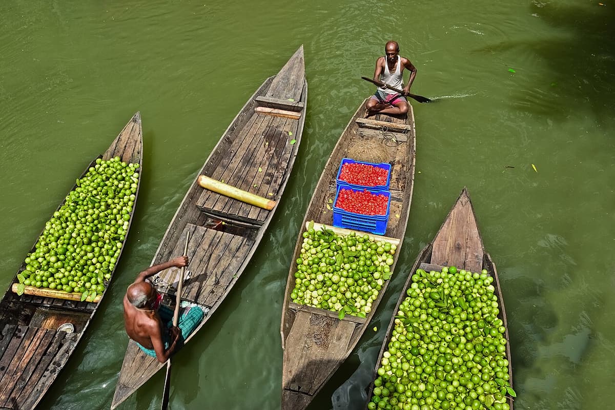 Atghar Kuriana Floating Guava Market, Pirojpur