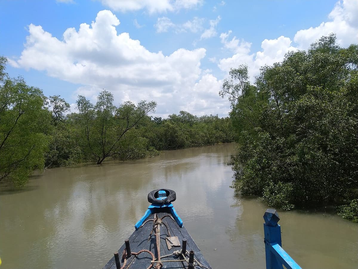 Sundarbans West, Satkhira