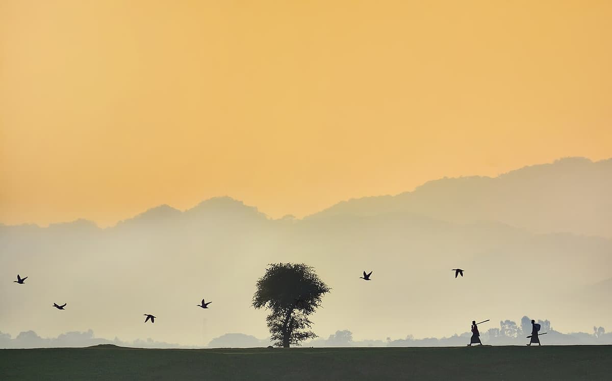 Tanguar Haor, Sunamganj