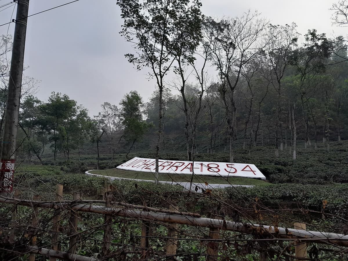 Malnicherra Tea Estate, Sylhet